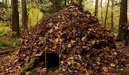 Weekend Wilderness Survival Course - Alderleaf - Course Image 1