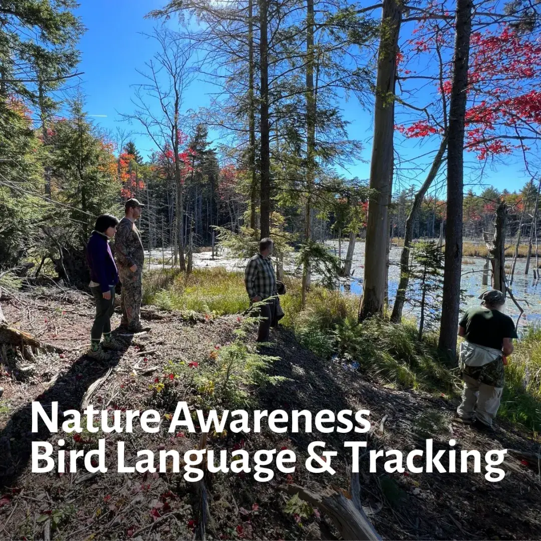 Nature Awareness, Tracking, & Bird Language - Course Image 1