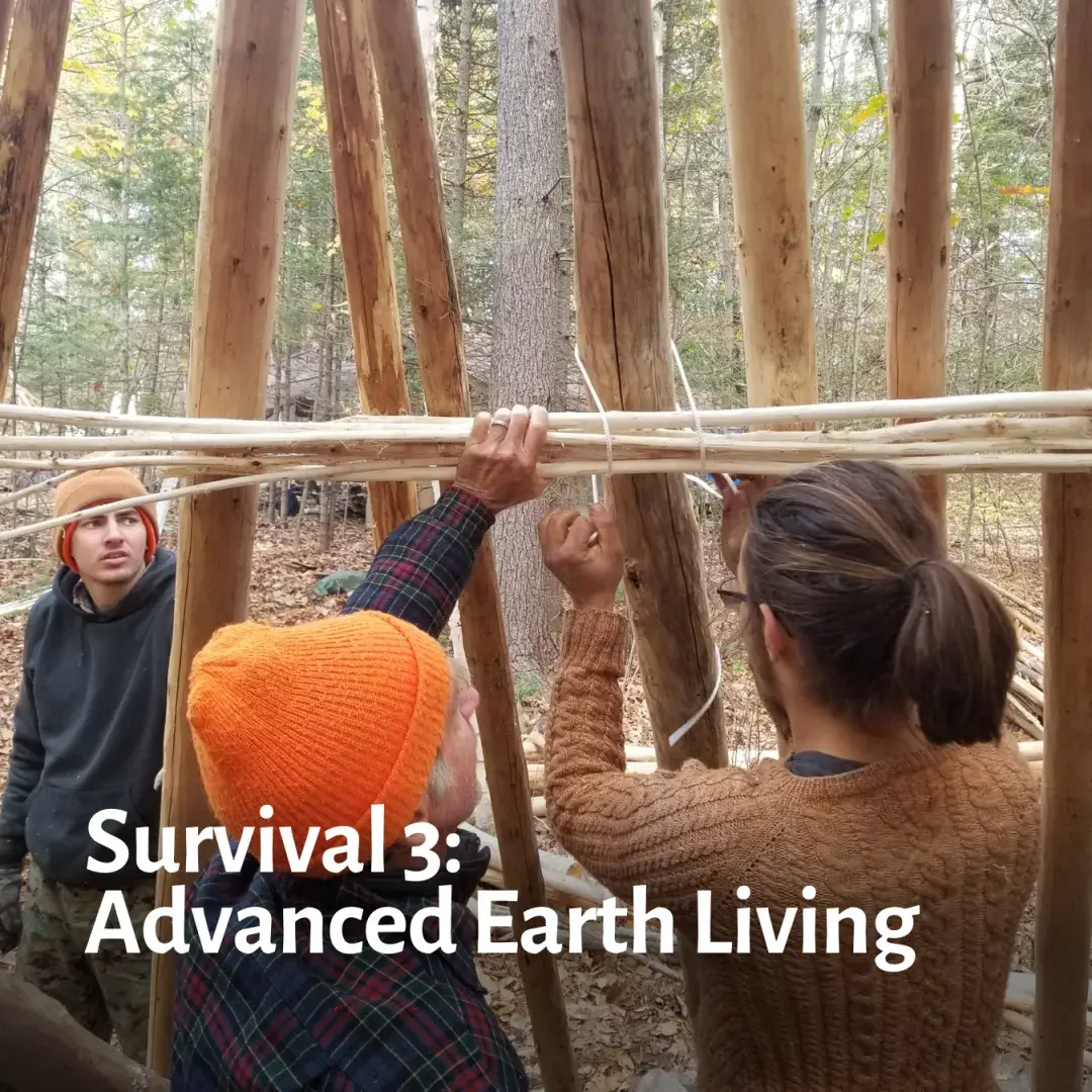 Survival 3 - Advanced Earth Living | Maine Primitive - Course Image 1